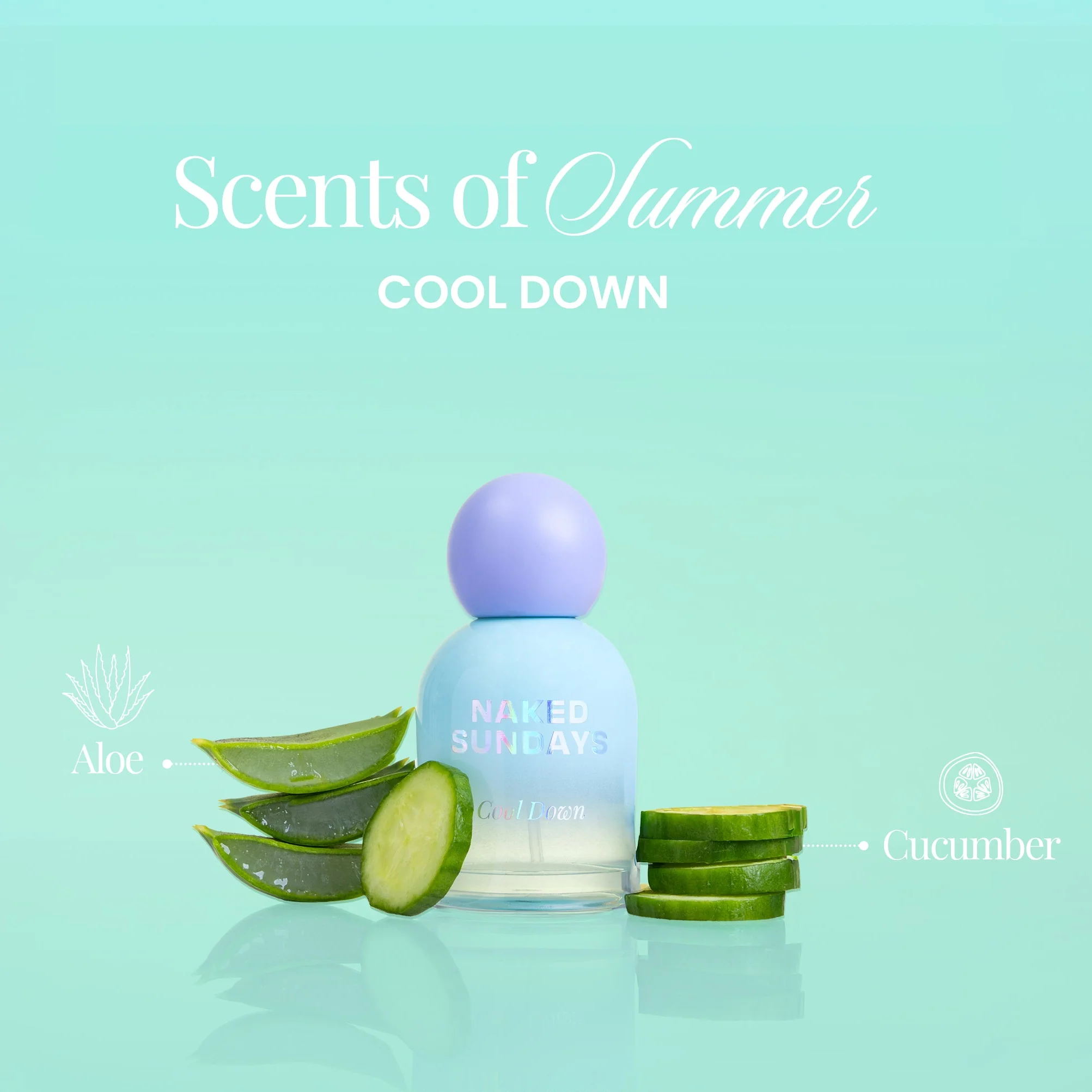 Vacay Fragrance Bundle (All three for the price of two!) - Image 6