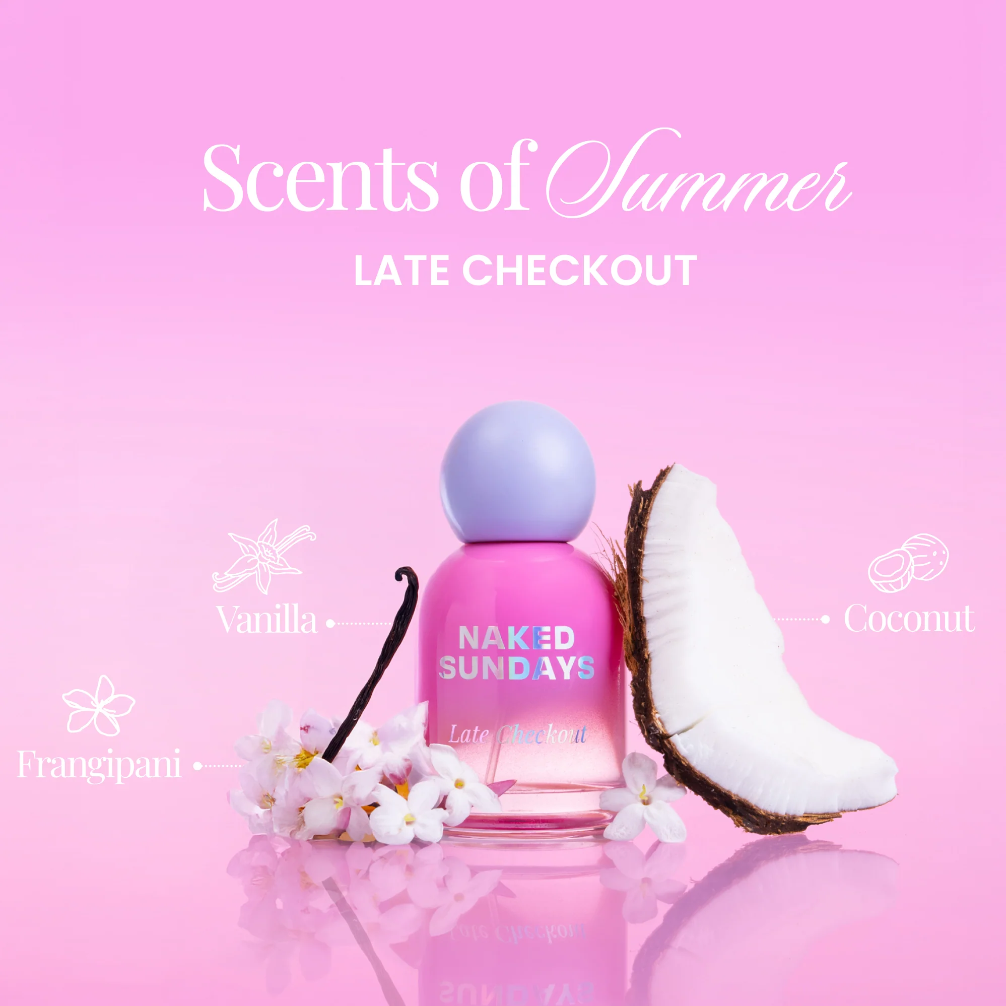 Vacay Fragrance Bundle (All three for the price of two!) - Image 4