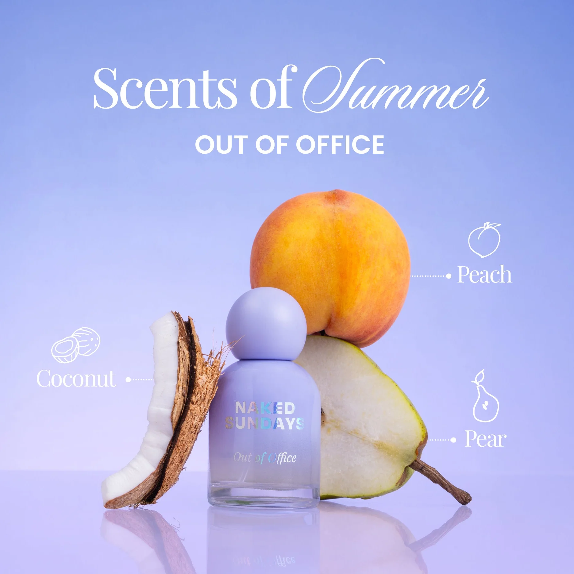 Vacay Fragrance Bundle (All three for the price of two!) - Image 5